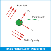 WS-basic-en.gif